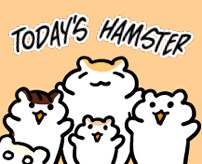 Today's Hamster [Simmie]